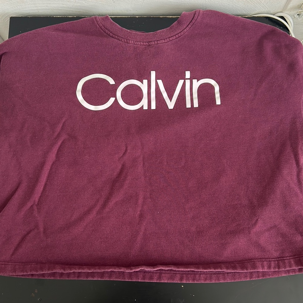 Calvin Klein, Marron/Wine cropped crewneck, worn lightly
